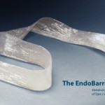 endobarrier-system