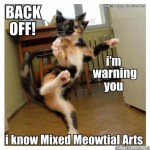 meowtial-arts