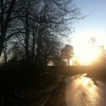 20111208-155637.jpg