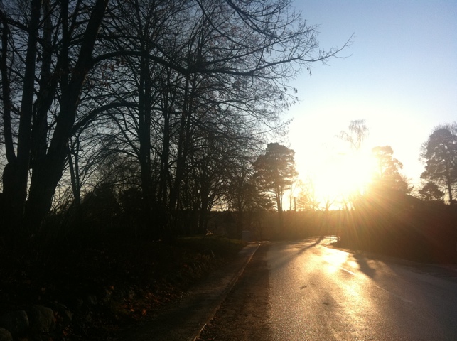20111208-162651.jpg